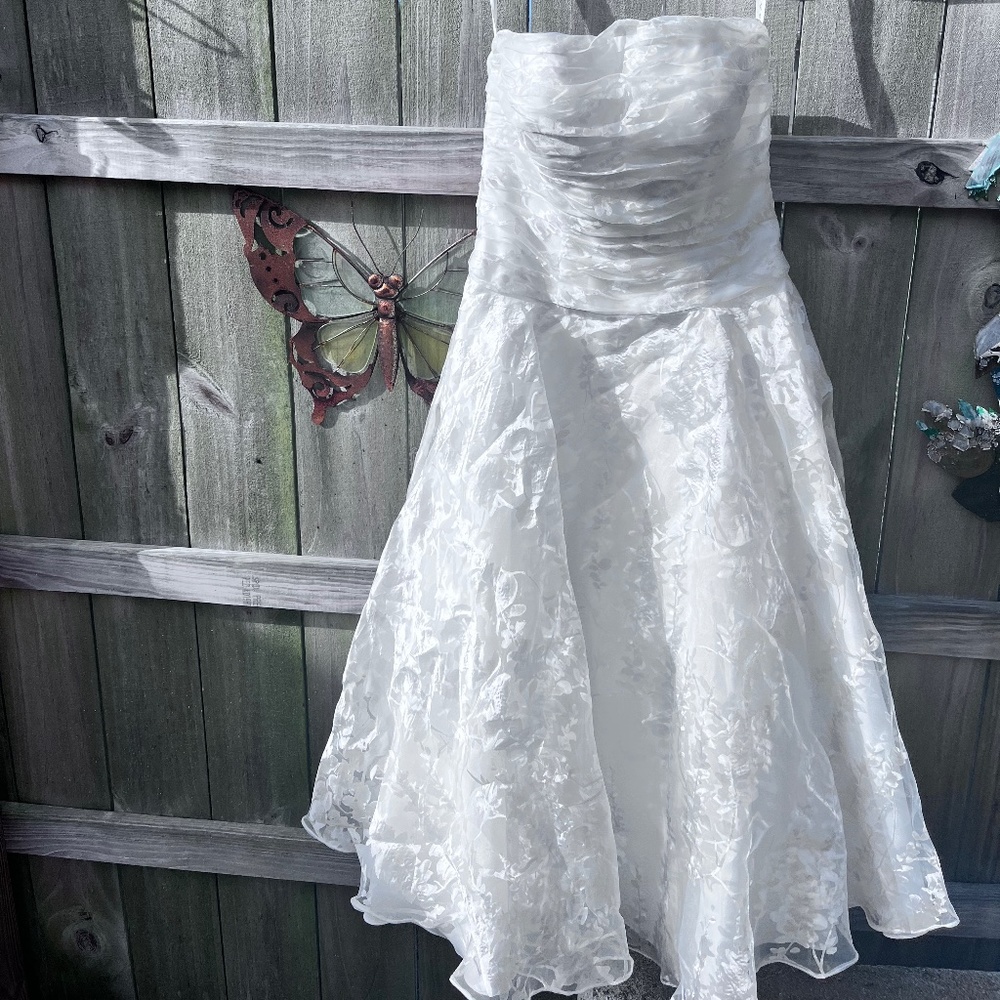 Galina Tee length Wedding/Special Occassion Dress